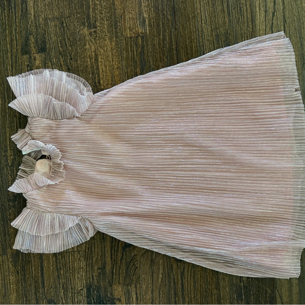 Janie and Jack Shimmering Pink Pleated Dress